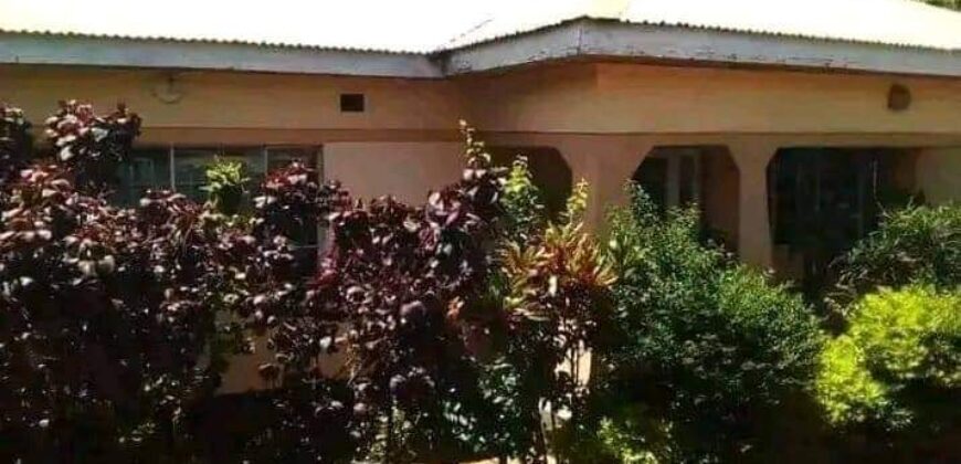 HOUSE FOR SALE AT ZOMBA