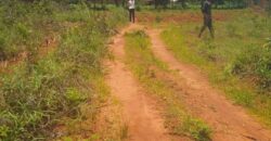 Plot for sale in MALAWI Mzuzu Nkhorongo