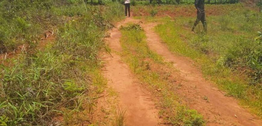 Plot for sale in MALAWI Mzuzu Nkhorongo