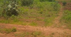 Plot for sale in MALAWI Mzuzu Nkhorongo