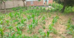 Plot for sale in Malawi Mzuzu