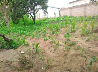 Plot for sale in Malawi Mzuzu