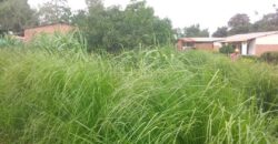 Plot for sale in Mzuzu Luwing