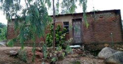 House for sale mbayani
