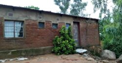 House for sale mbayani