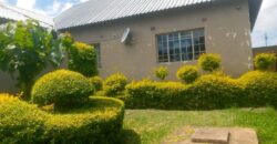House to rent chirimba chapima