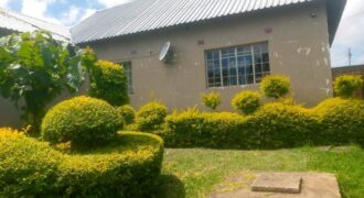 House to rent chirimba chapima