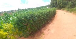 Plot for sale at MALAWI