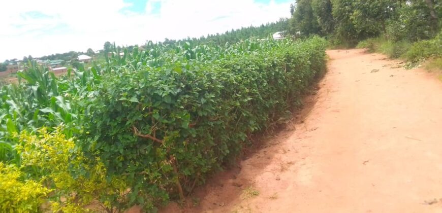 Plot for sale at MALAWI