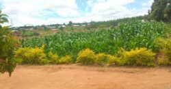 Plot for sale at MALAWI