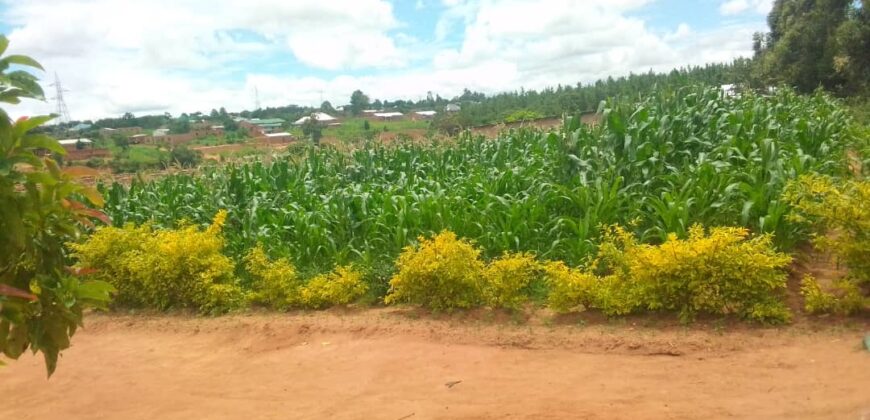 Plot for sale at MALAWI