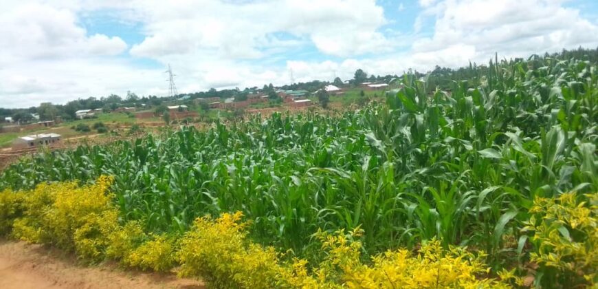 Plot for sale at MALAWI