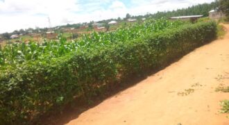 Plot for sale at MALAWI
