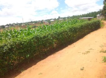 Plot for sale at MALAWI