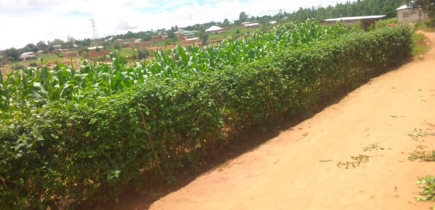 Plot for sale at MALAWI