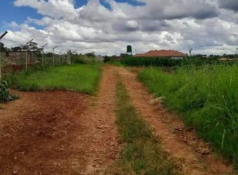 Stand For Sale* *Glen Forest* Stand measuring 2000sqm, in a quiet neighborhood, built up area in ZIMBABWE