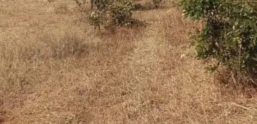 CHEGUTU PLOTS FOR SALE*