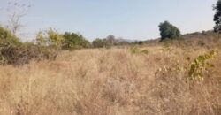 CHEGUTU PLOTS FOR SALE*