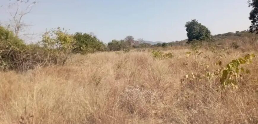 CHEGUTU PLOTS FOR SALE*