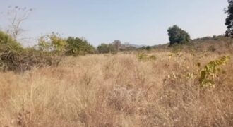 *CHEGUTU PLOTS FOR SALE* 6 HACTARES.