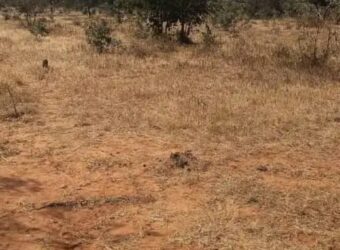 CHEGUTU PLOTS FOR SALE*