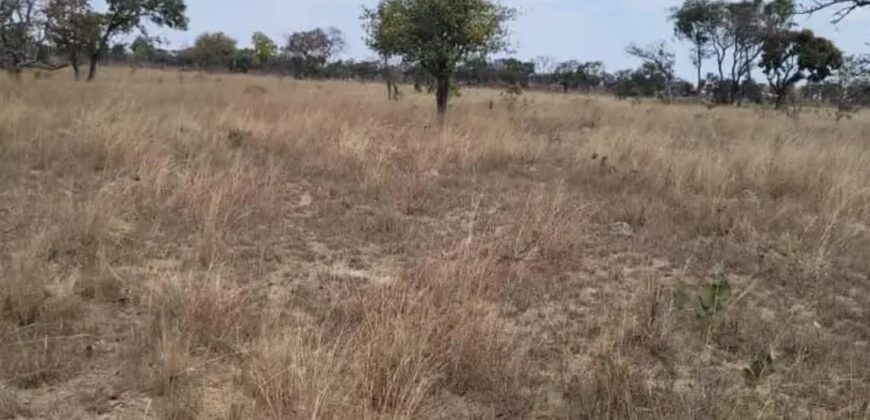 NYABIRA PLOT* Agro-rural Stand/MUSHA