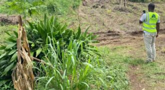 We have 12 plots left for sale at Mwangai, central market-Buea.