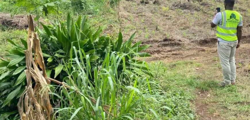 We have 12 plots left for sale at Mwangai, central market-Buea.