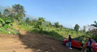 BUEA-Bokova after Prime Minister Residence towards St Joseph Orphanage 