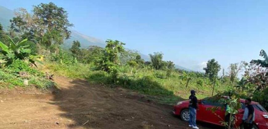 BUEA-Bokova after Prime Minister Residence towards St Joseph Orphanage 