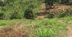 2000msq parcel of land available behind limbe omisport easily accessible covered with individual