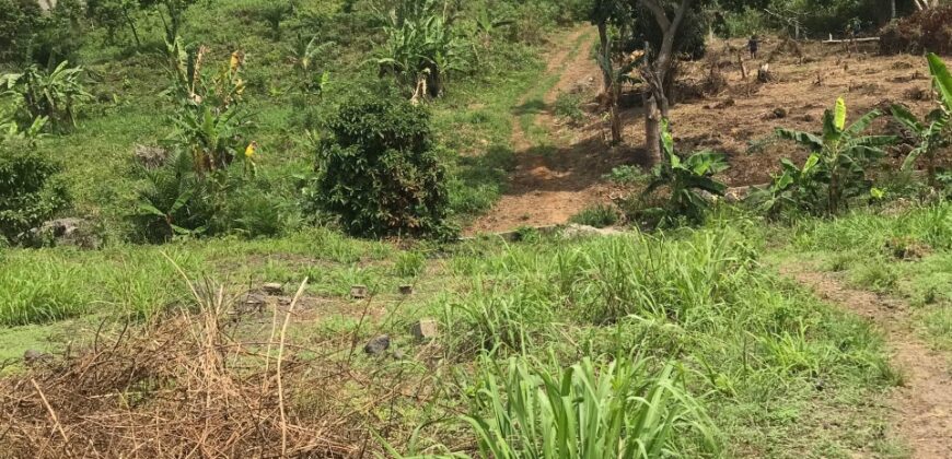 2000msq parcel of land available behind limbe omisport easily accessible covered with individual
