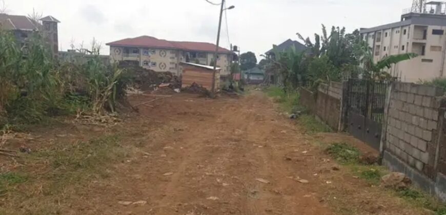 LAND FOR SALE AT CAMEROON