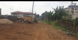 LAND FOR SALE AT CAMEROON