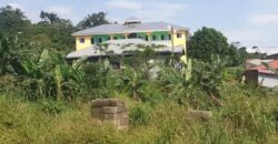 COMMERCIAL STRUCTURE AVAILABLE FOR SALE IN MUKUNDANGE LIMBE????