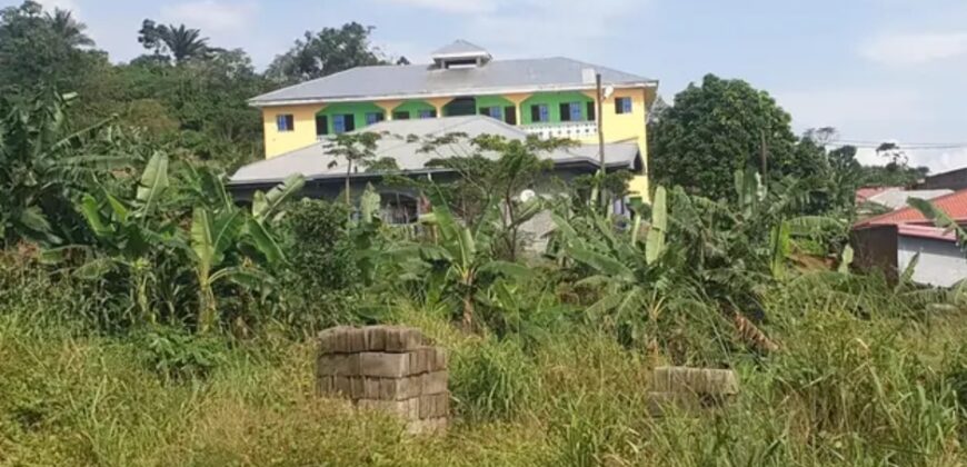 COMMERCIAL STRUCTURE AVAILABLE FOR SALE IN MUKUNDANGE LIMBE????