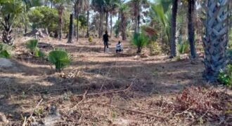 Land for sale at GAMBIA