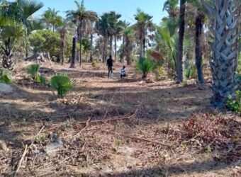Land for sale at GAMBIA
