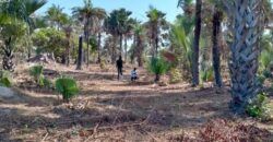 Land for sale at GAMBIA