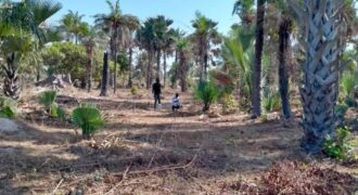 Land for sale at GAMBIA