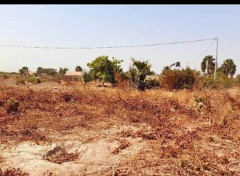 Plot of land for sale at GAMBIA