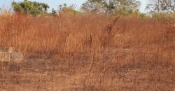 LAND FOR SALE AT ( BRIKAMA MANDURA) WITH 350 BLOCKS AND TRIP OF SAND 