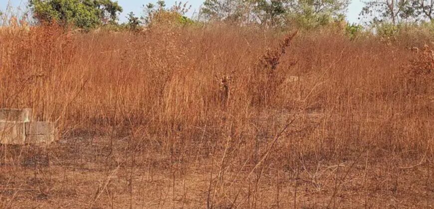 LAND FOR SALE AT ( BRIKAMA MANDURA) WITH 350 BLOCKS AND TRIP OF SAND 