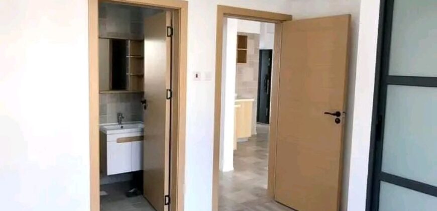 2bedroom APARTMENTS -Kamiti Road/Nairobi