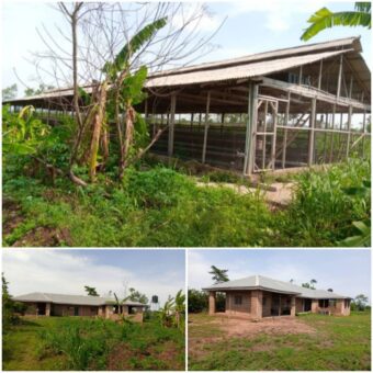 23.8 acres of farmland for sale at Akinpelu Village