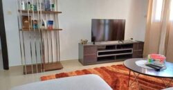 Appartement Meublé a Louer Abidjan