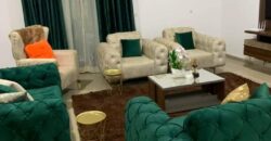 Fully furnished apartment for rent