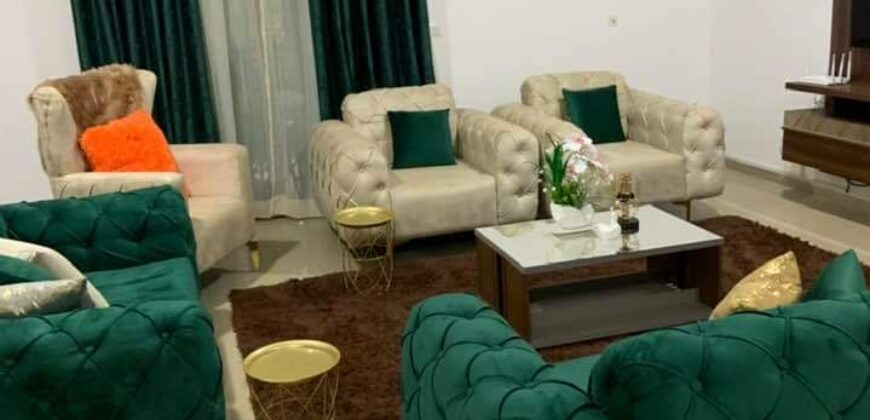 Fully furnished apartment for rent