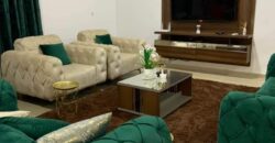 Fully furnished apartment for rent