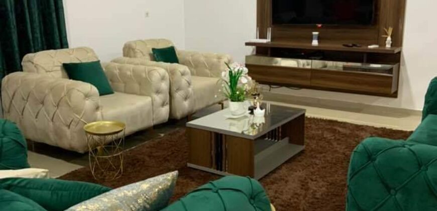 Fully furnished apartment for rent